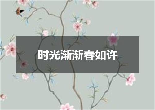 时光渐渐春如许