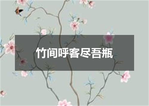 竹间呼客尽吾瓶