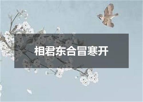 相君东合冒寒开