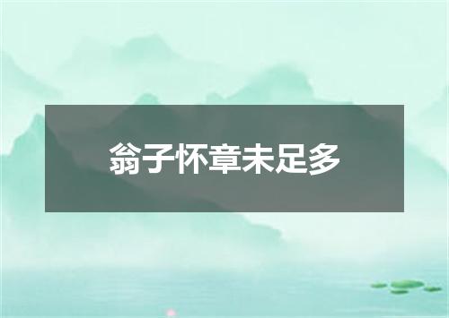 翁子怀章未足多