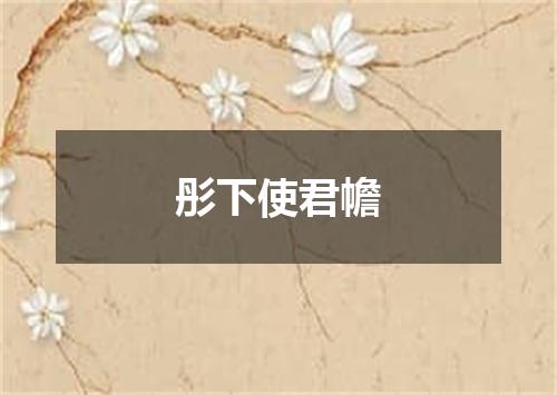 彤下使君幨
