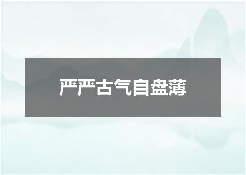 严严古气自盘薄