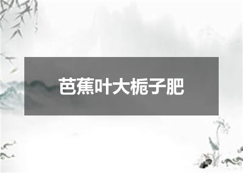 芭蕉叶大栀子肥