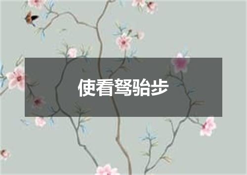 使看驽骀步
