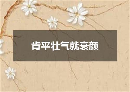 肯平壮气就衰颜