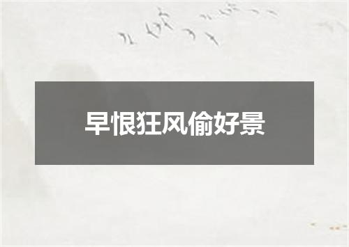 早恨狂风偷好景