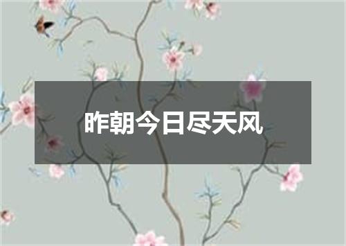 昨朝今日尽天风