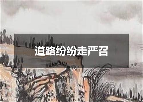 道路纷纷走严召
