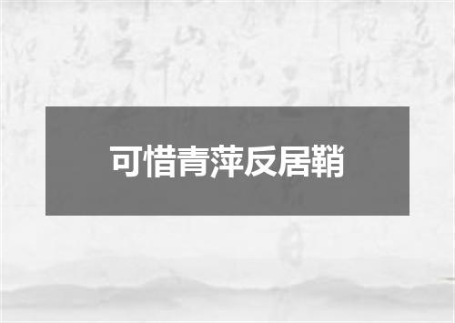 可惜青萍反居鞘