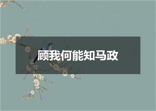顾我何能知马政