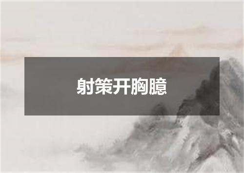 射策开胸臆