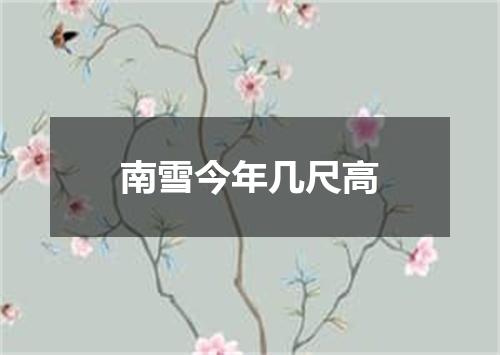 南雪今年几尺高