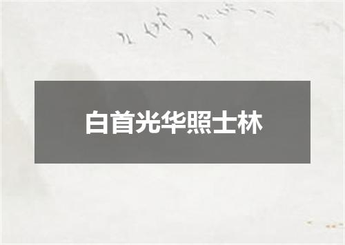 白首光华照士林
