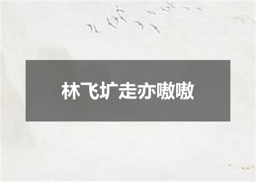 林飞圹走亦嗷嗷