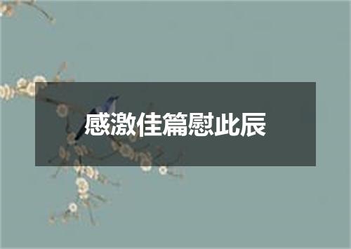 感激佳篇慰此辰