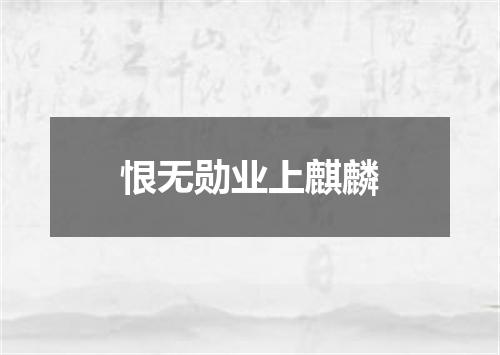 恨无勋业上麒麟