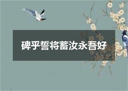 碑乎誓将蓄汝永吾好