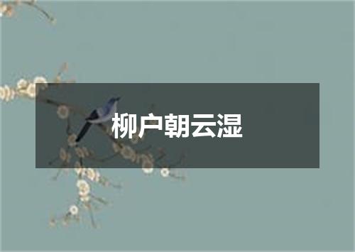 柳户朝云湿