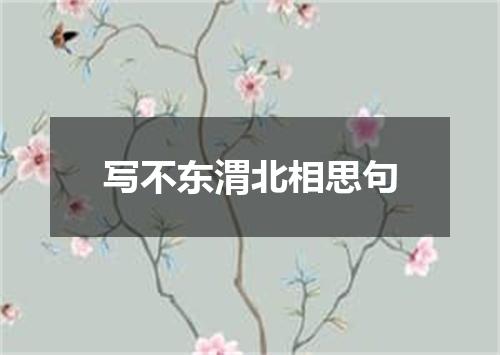 写不东渭北相思句