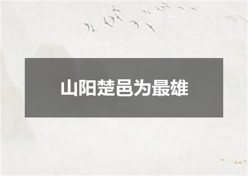 山阳楚邑为最雄