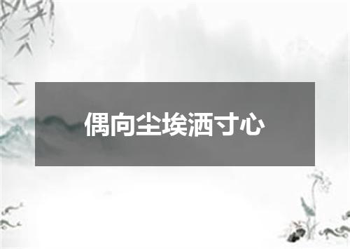 偶向尘埃洒寸心