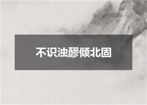 不识浊醪倾北固