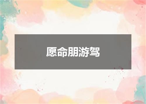 愿命朋游驾