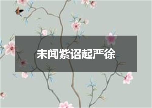 未闻紫诏起严徐