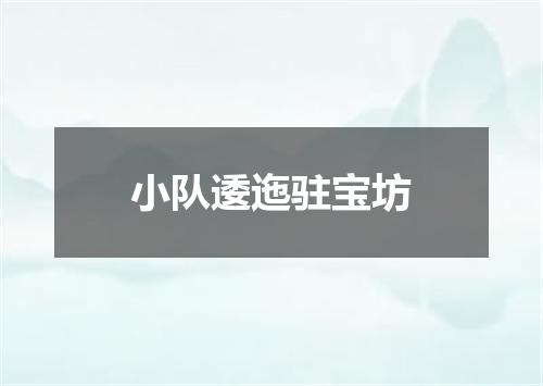 小队逶迤驻宝坊