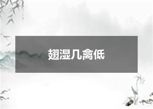 翅湿几禽低