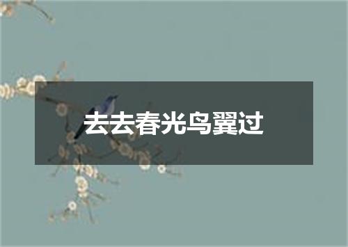 去去春光鸟翼过