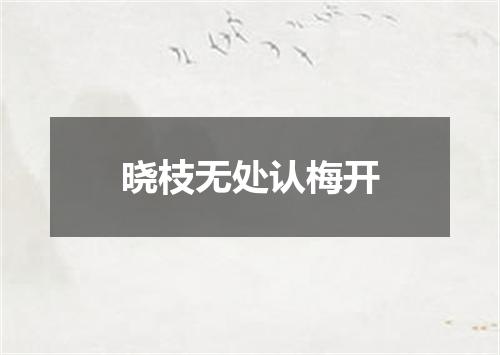 晓枝无处认梅开
