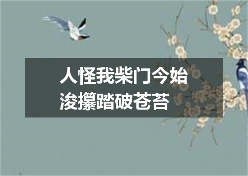 人怪我柴门今始浚攥踏破苍苔