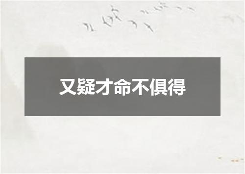 又疑才命不俱得
