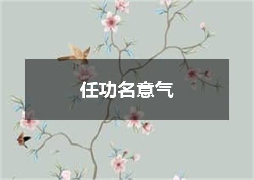 任功名意气