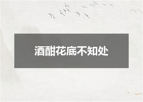 酒酣花底不知处