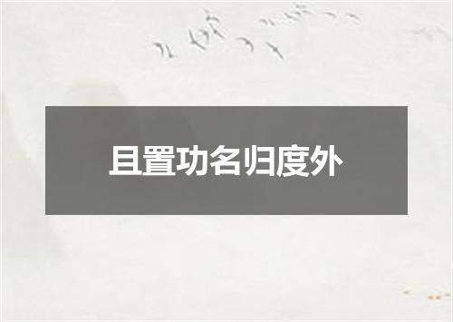 且置功名归度外