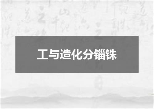 工与造化分锱铢