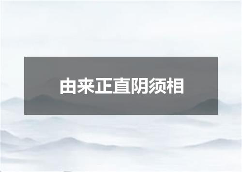 由来正直阴须相