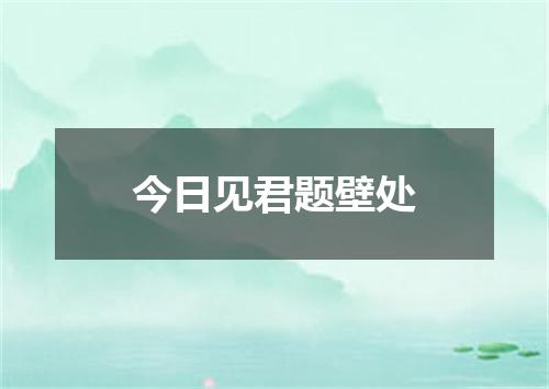 今日见君题壁处