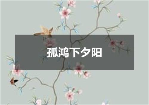 孤鸿下夕阳