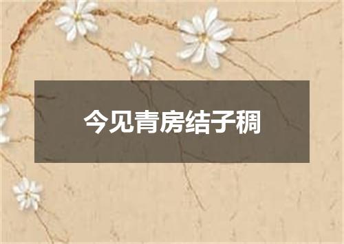 今见青房结子稠