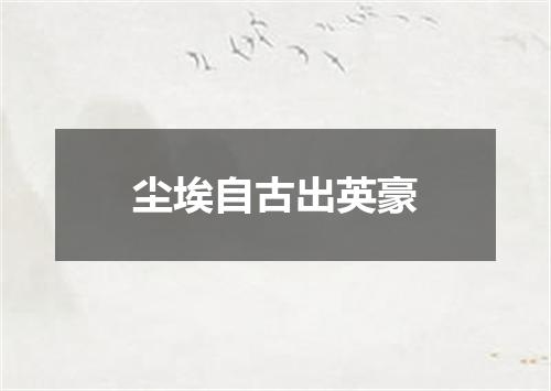 尘埃自古出英豪