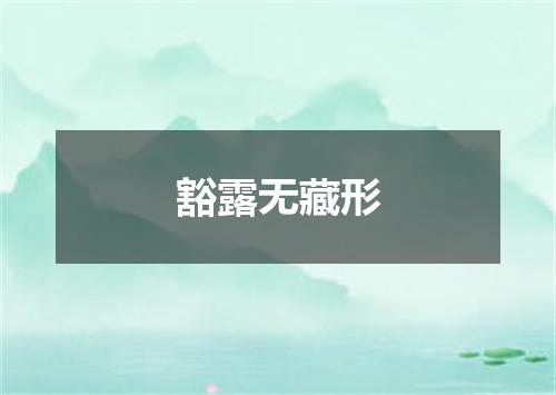 豁露无藏形