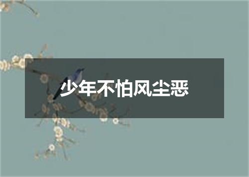 少年不怕风尘恶