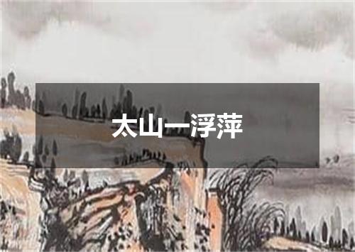太山一浮萍