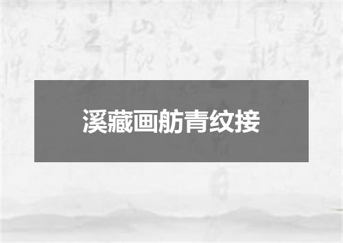 溪藏画舫青纹接