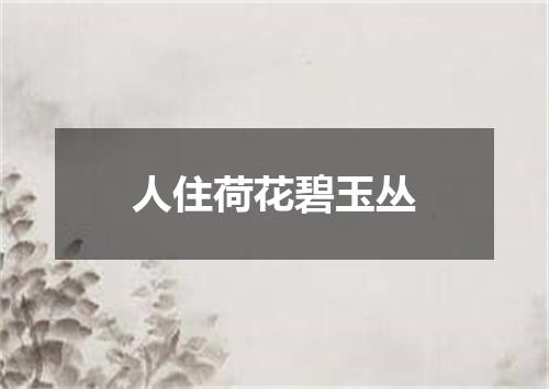 人住荷花碧玉丛