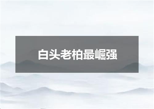 白头老柏最崛强