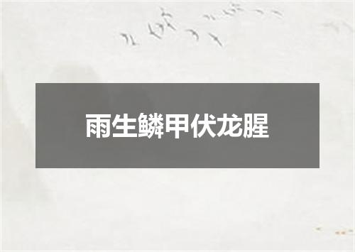 雨生鳞甲伏龙腥